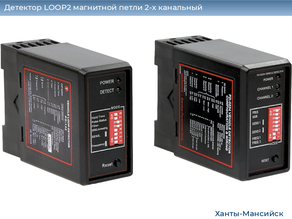 Детектор LOOP2 магнитной петли 2-x канальный, khanty-mansiysk.doorhan.ru