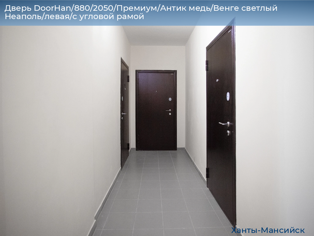 Дверь DoorHan/880/2050/Премиум/Антик медь/Венге светлый Неаполь/левая/с угловой рамой, khanty-mansiysk.doorhan.ru