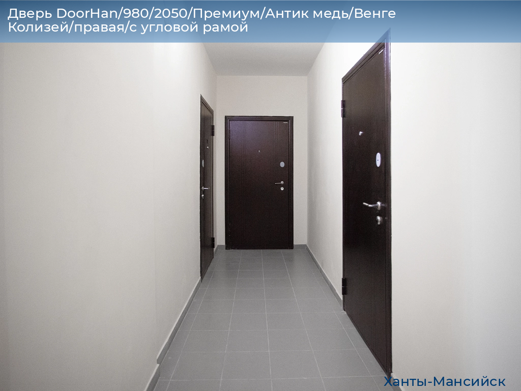 Дверь DoorHan/980/2050/Премиум/Антик медь/Венге Колизей/правая/с угловой рамой, khanty-mansiysk.doorhan.ru