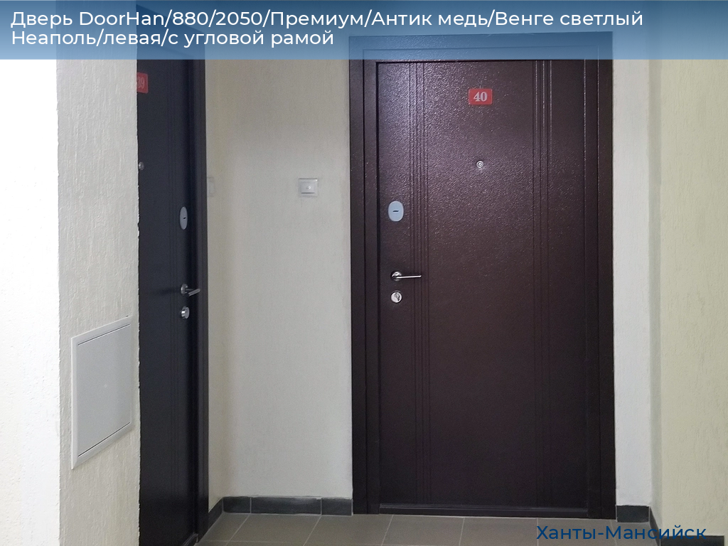 Дверь DoorHan/880/2050/Премиум/Антик медь/Венге светлый Неаполь/левая/с угловой рамой, khanty-mansiysk.doorhan.ru