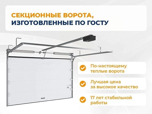 Cекционные ворота 2600х2800 мм коричнево-красные DoorHan RSD02, khanty-mansiysk.doorhan.ru